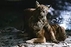 トゥー・ブラザーズの画像