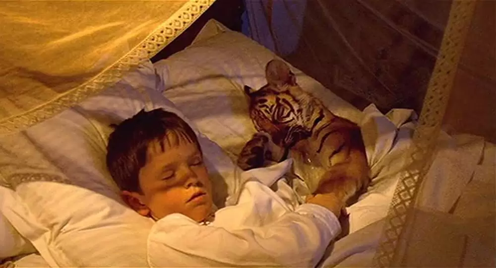 「トゥー・ブラザーズ」フレディ・ハイモアの画像