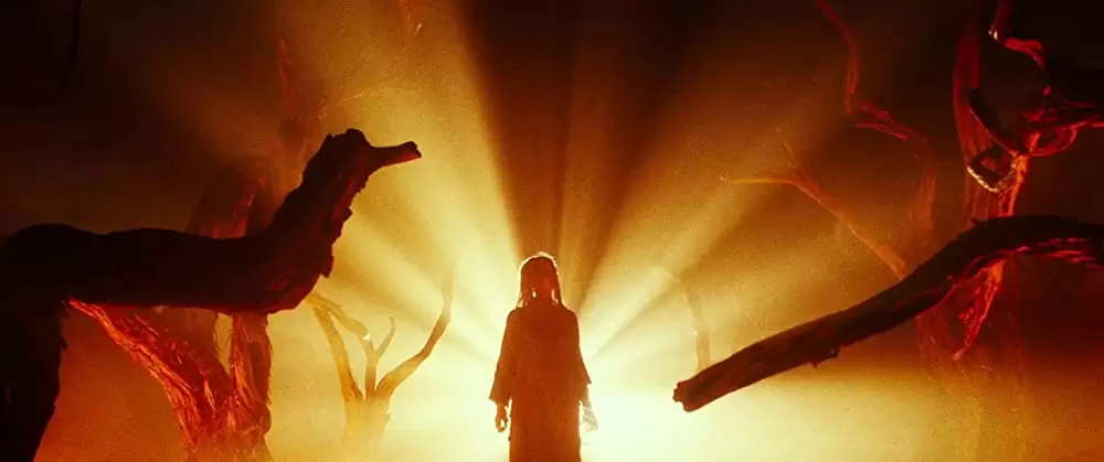 ロード・オブ・セイラムの画像