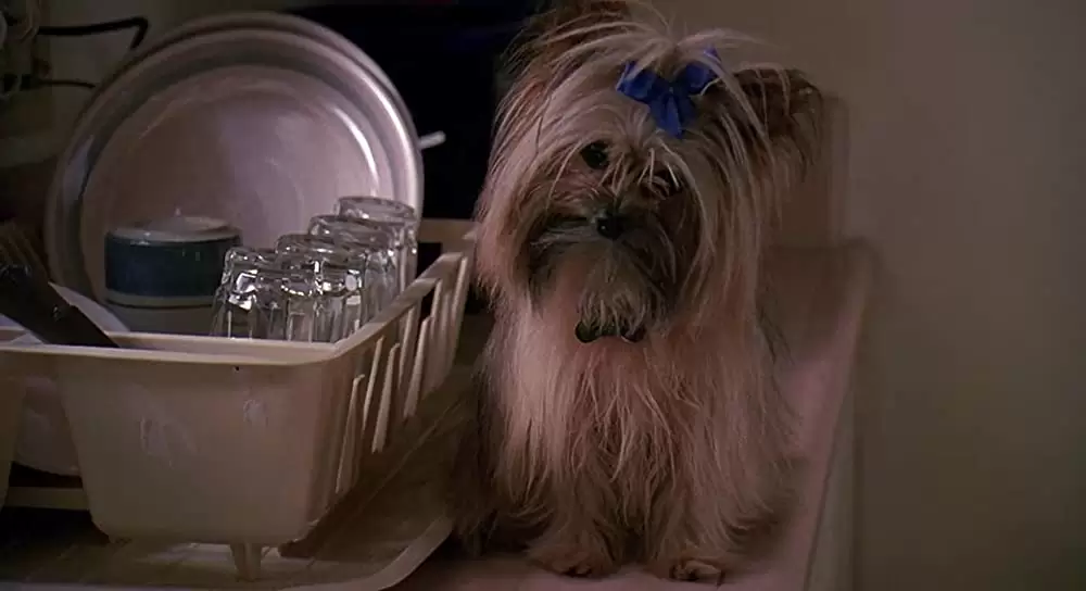 刑事ジョー ママにお手上げの画像