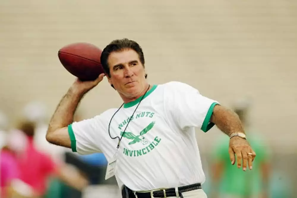 インヴィンシブル 栄光へのタッチダウンの画像