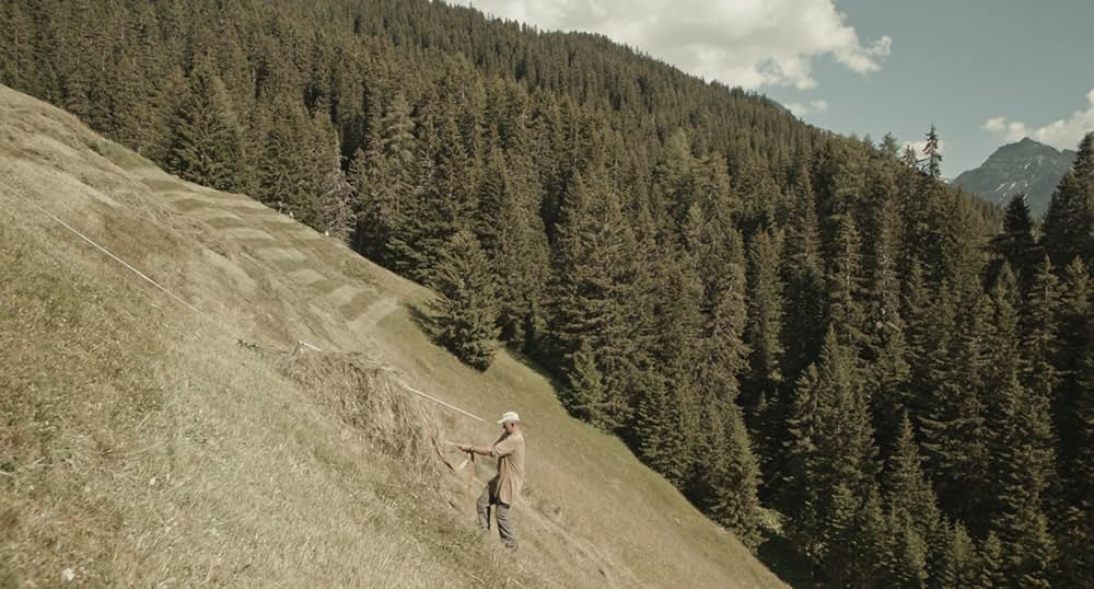 Davos（原題）の画像