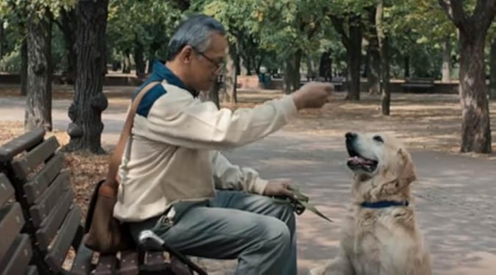 プラハからの手紙の画像