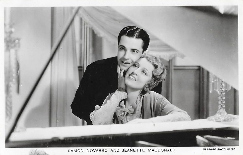 猫と提琴の画像