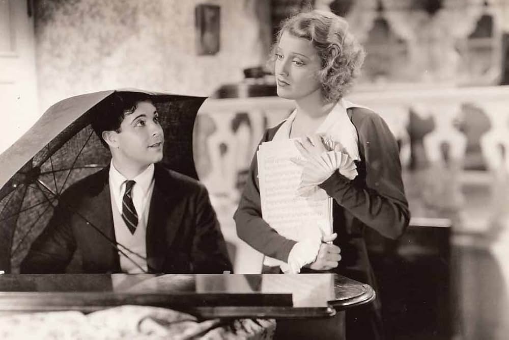 猫と提琴の写真