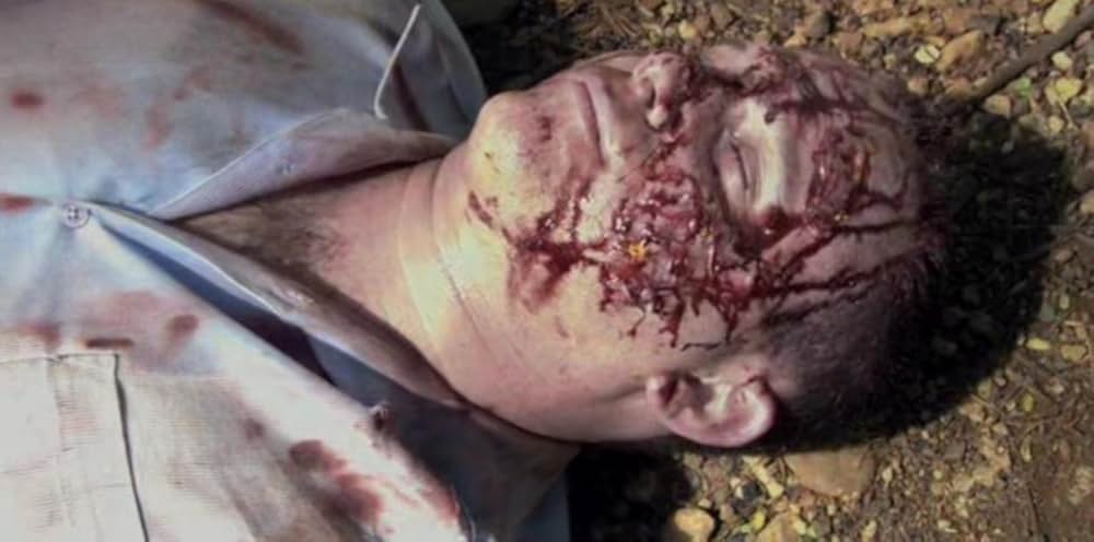 コモドVSキングコブラの画像