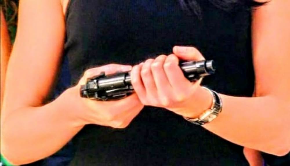 コモドVSキングコブラの画像