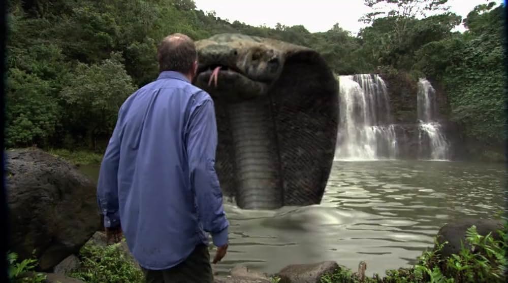 コモドVSキングコブラの画像