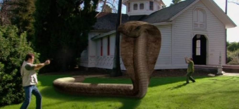 コモドVSキングコブラの画像