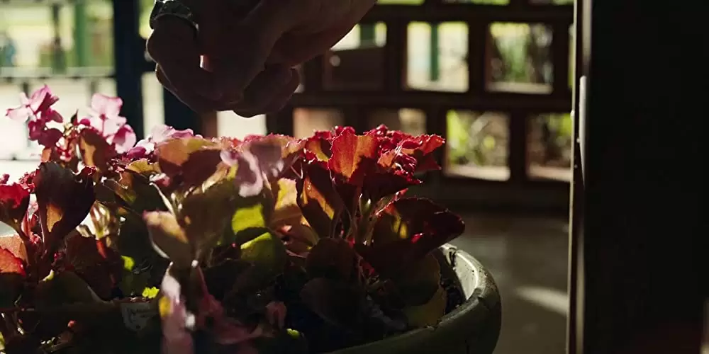 ディック・ロングはなぜ死んだのか？の画像