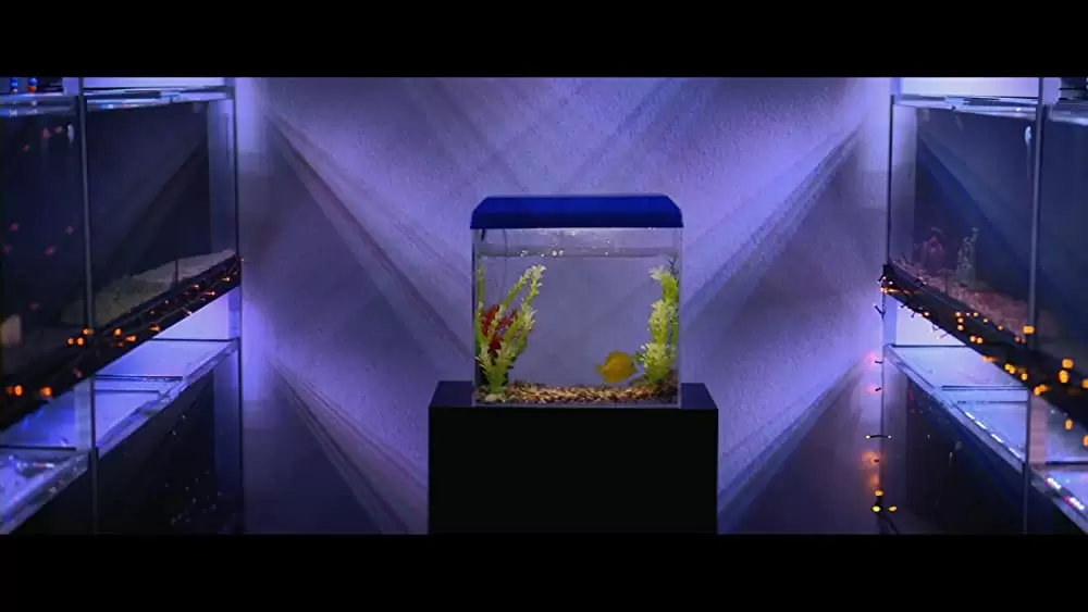 バレット・ヘッド／キラー・ドッグの画像