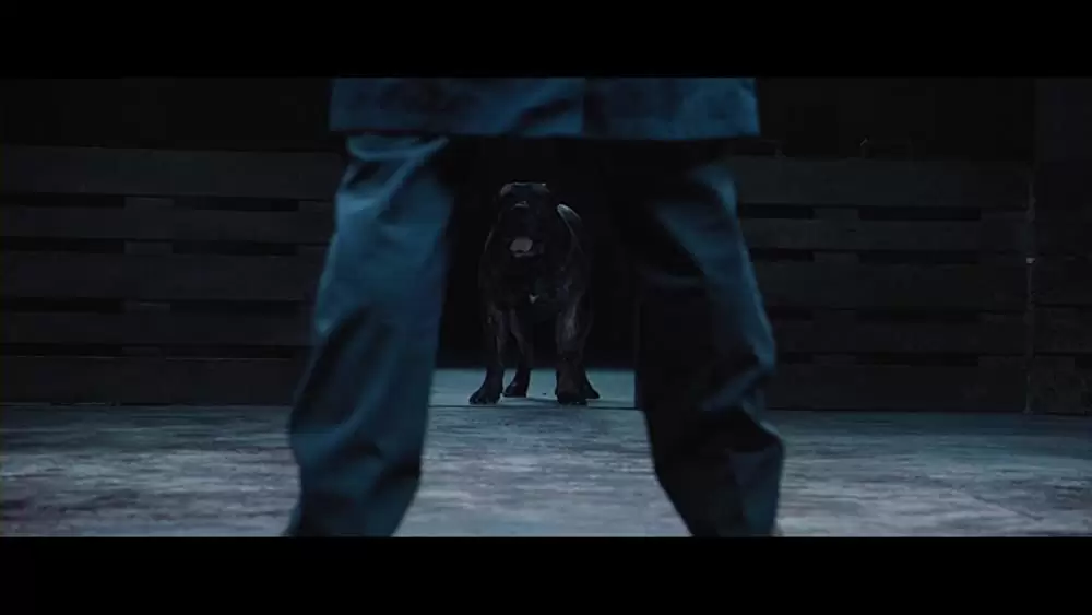 バレット・ヘッド／キラー・ドッグの画像