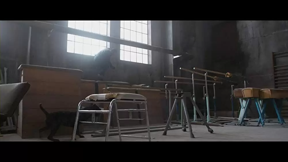 「バレット・ヘッド／キラー・ドッグ」エイドリアン・ブロディの画像