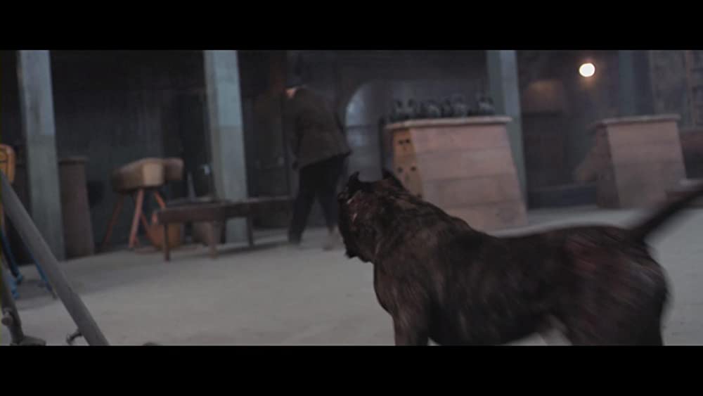 バレット・ヘッド／キラー・ドッグの画像