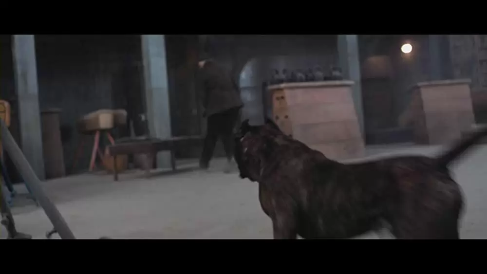 「バレット・ヘッド／キラー・ドッグ」ジョン・マルコビッチの画像