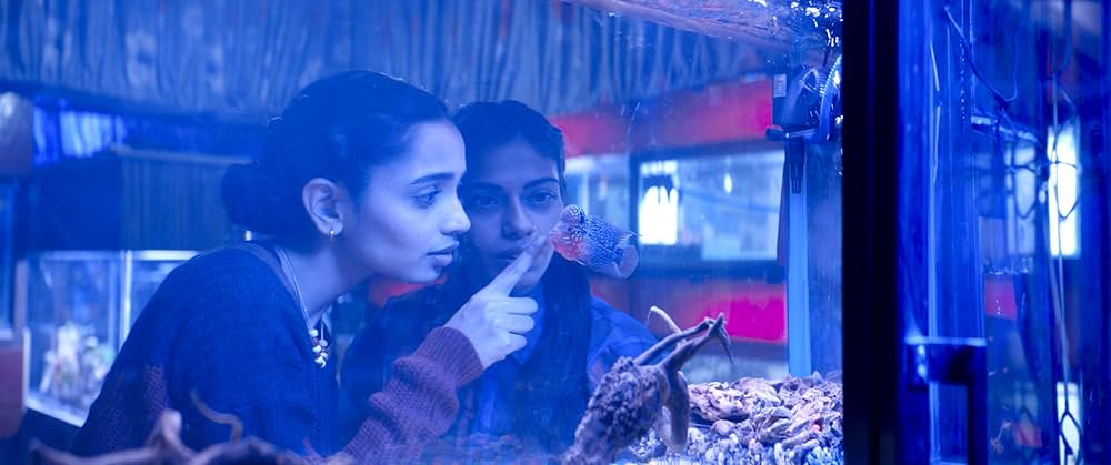 The Shameless（原題）の画像