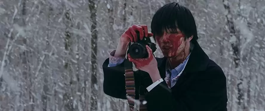 ミスミソウの画像