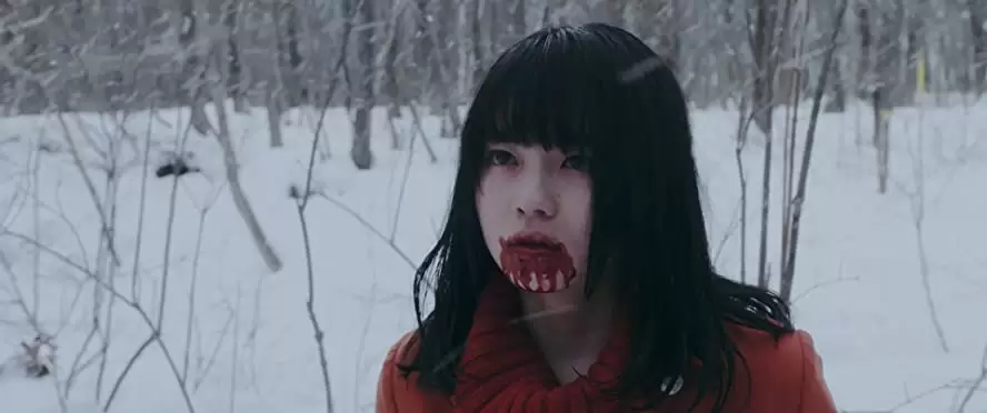 ミスミソウの画像