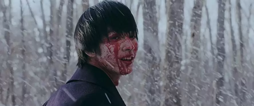 ミスミソウの画像