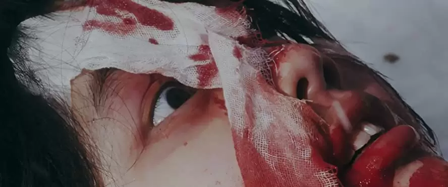 ミスミソウの画像