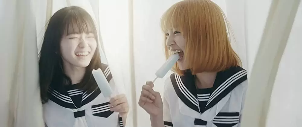 ミスミソウの画像