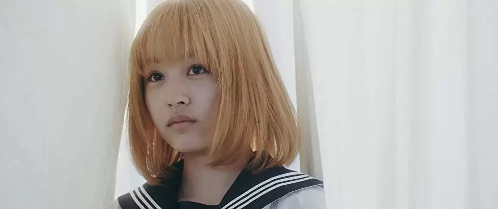 ミスミソウの画像