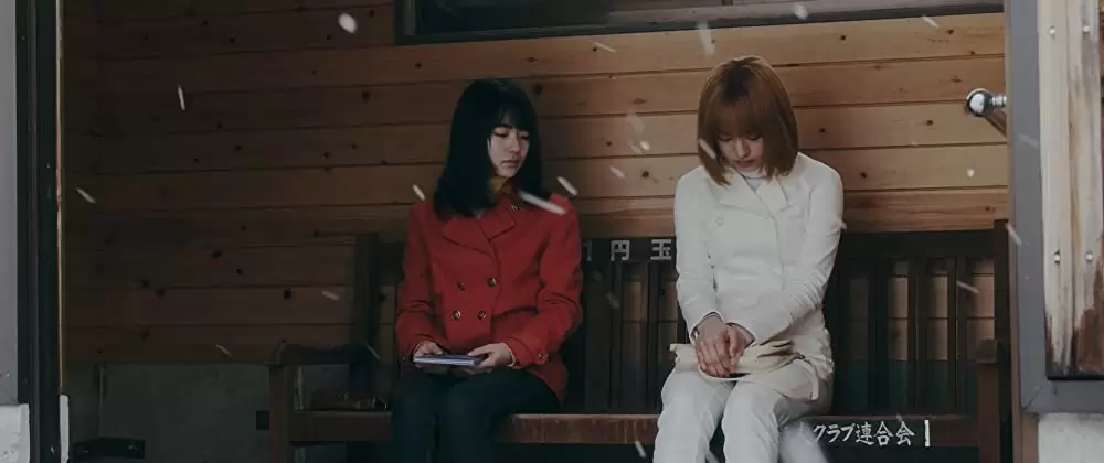 ミスミソウの画像