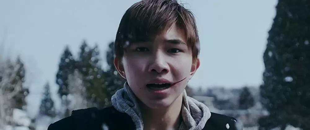 ミスミソウの画像