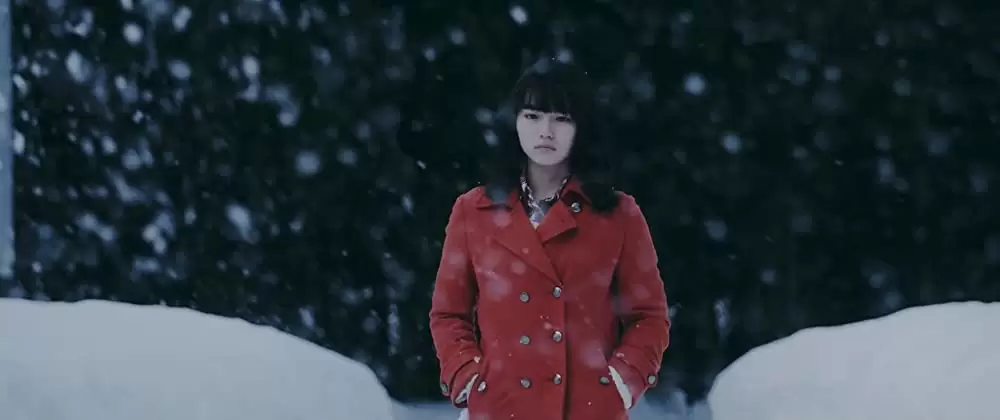 ミスミソウの画像