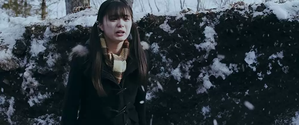 ミスミソウの画像