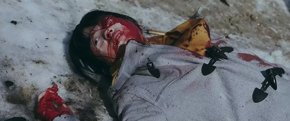 ミスミソウの画像