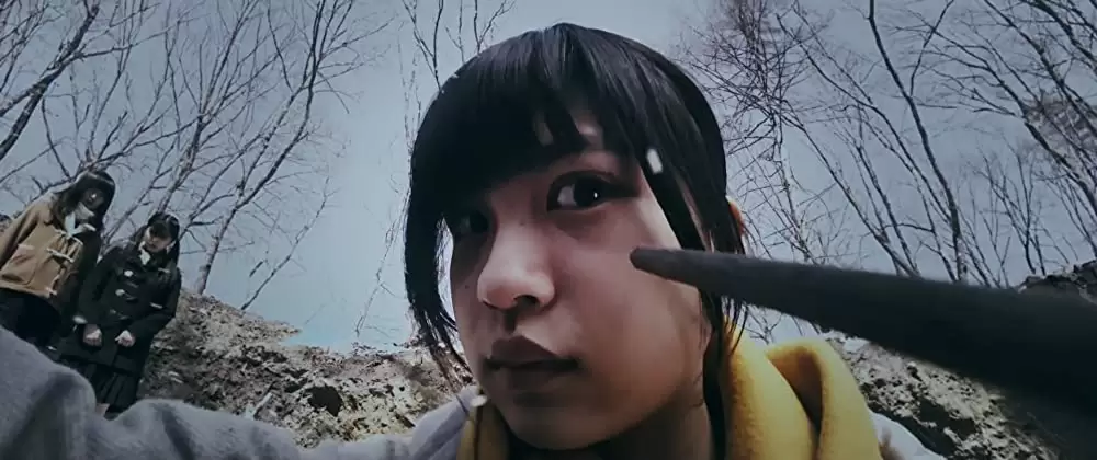 ミスミソウの画像