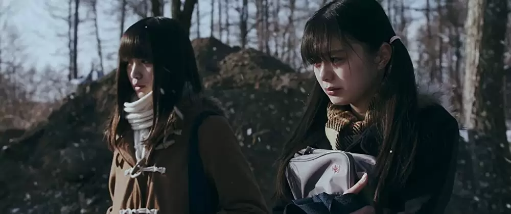 ミスミソウの画像