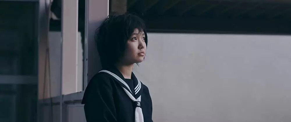 ミスミソウの画像