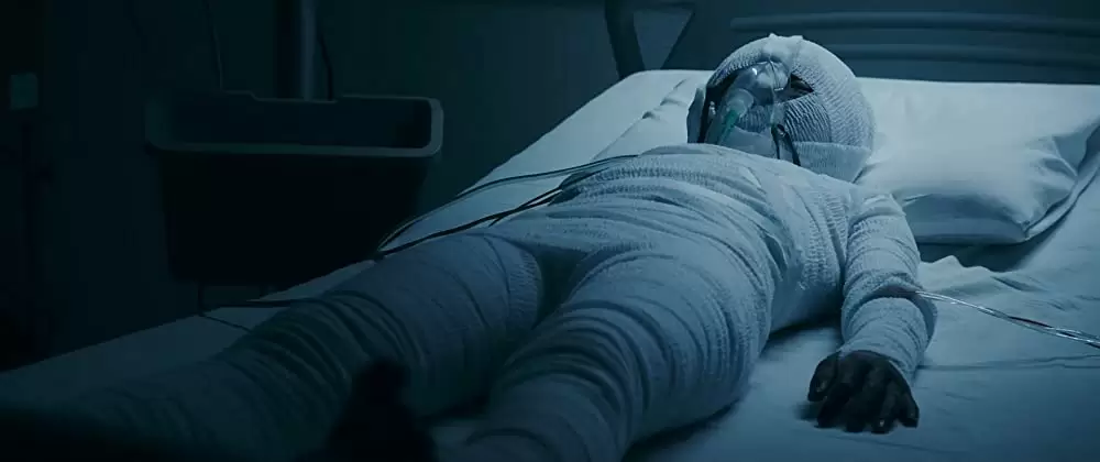 ミスミソウの画像