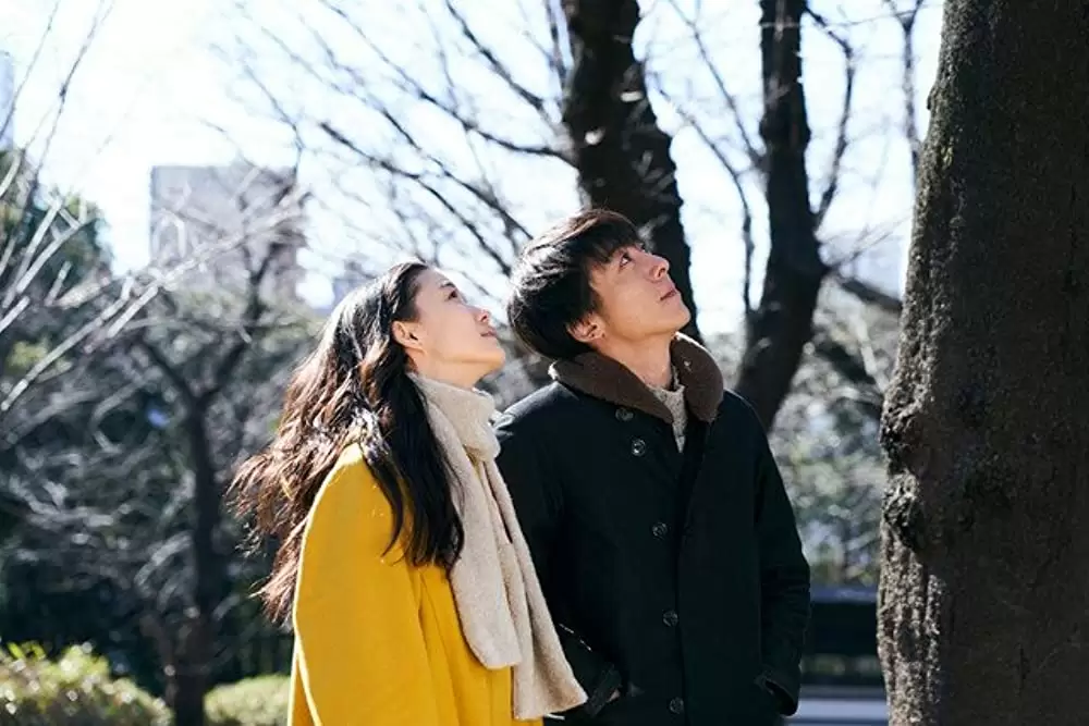 ロマンスドールの画像