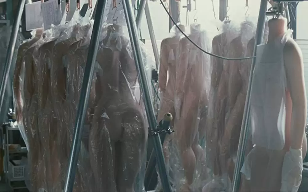 ロマンスドールの画像