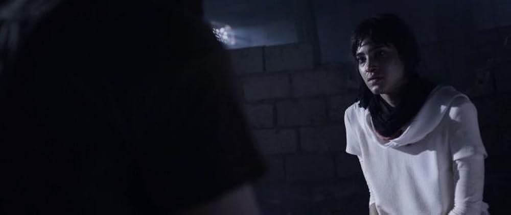 タイガー・スクワッドの画像