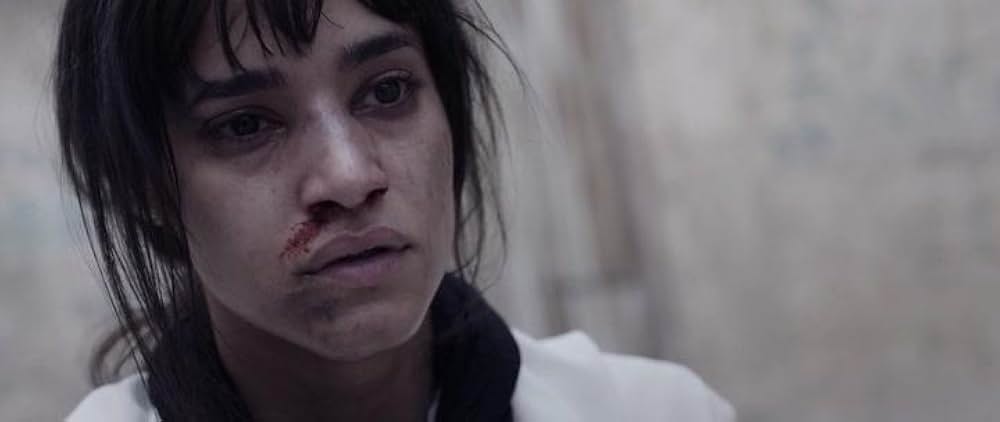 タイガー・スクワッドの画像