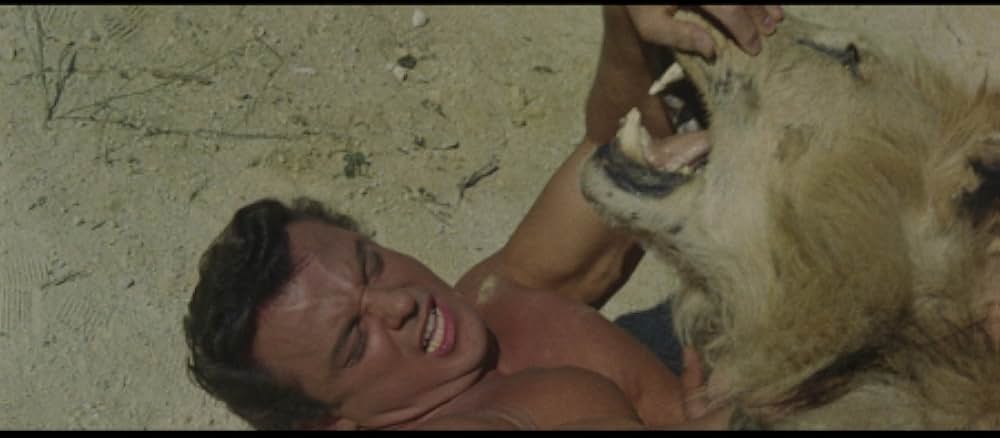 マチステの画像