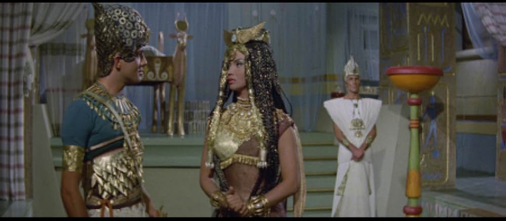 マチステの写真