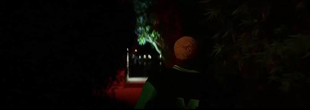 「WAVES／ウェイブス」ケルビン・ハリソン・Jr.の画像