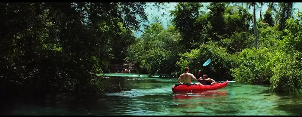 「WAVES／ウェイブス」ルーカス・ヘッジズ & テイラー・ラッセルの画像