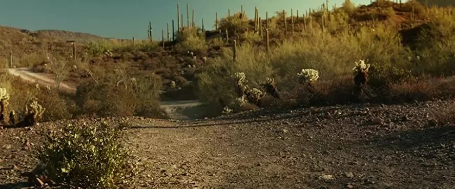 ラッキーの画像