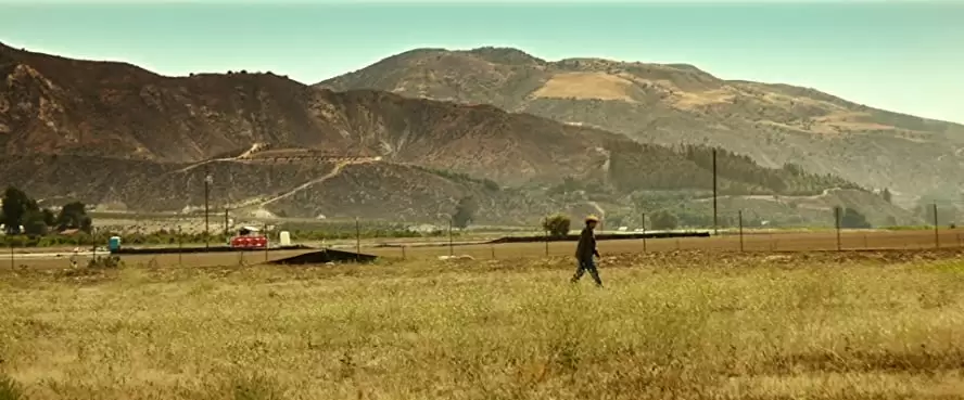 ラッキーの画像