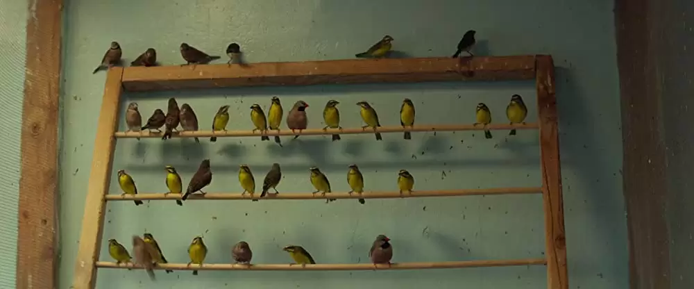 ラッキーの画像