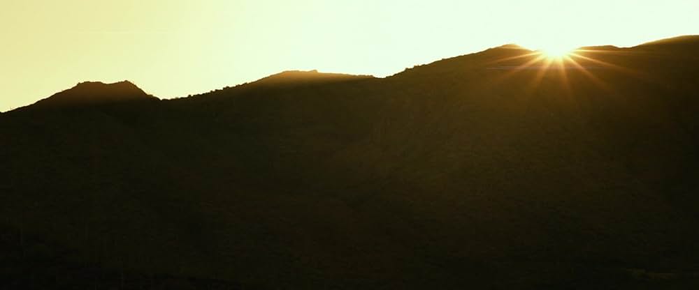 ラッキーの画像