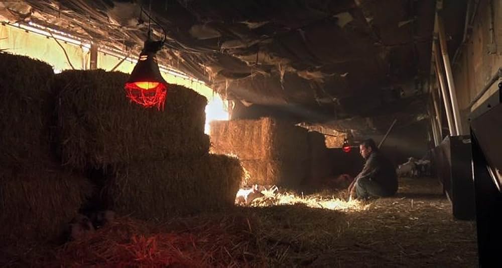 Nana（原題）の画像