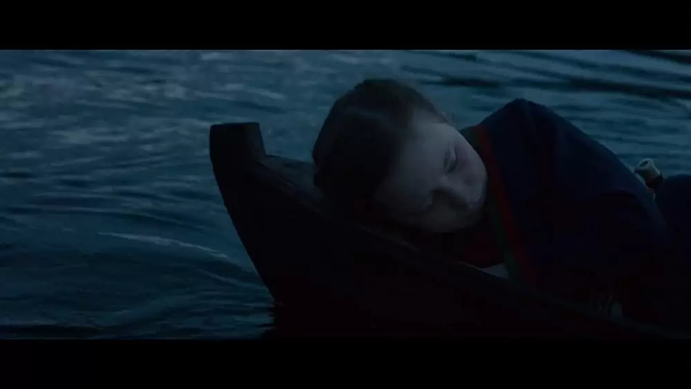 サーミの血の画像