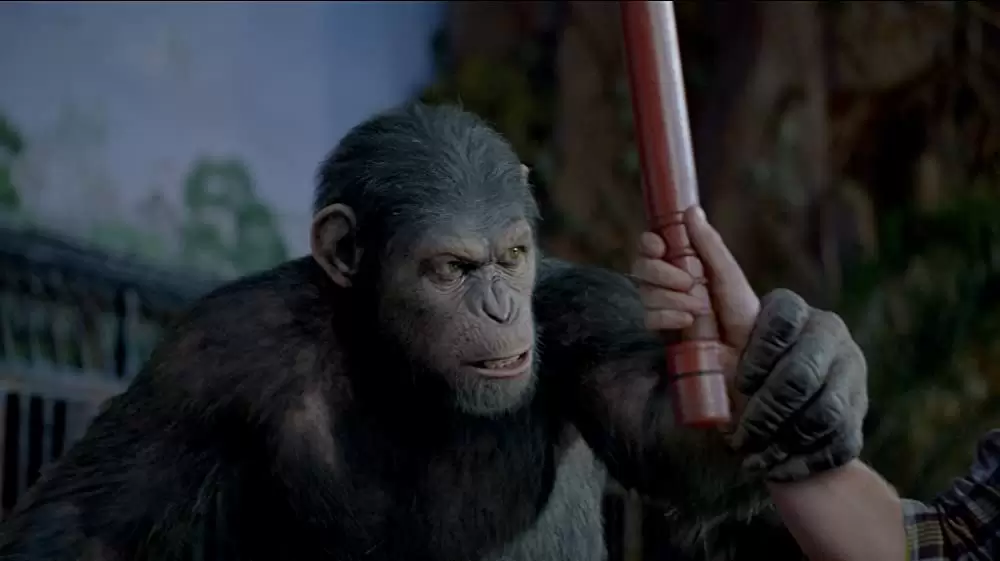 猿の惑星：創世記（ジェネシス）の画像